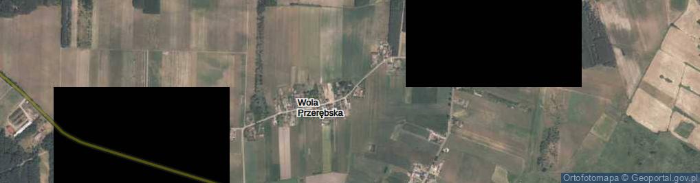 Zdjęcie satelitarne Wola Przerębska ul.